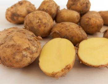 Kartoffel mk Gunda