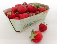 m* Erdbeeren 500g