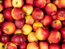 Mini Snack - &Auml;pfel