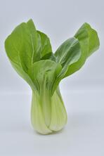 Pak Choy regional - Senfkohl