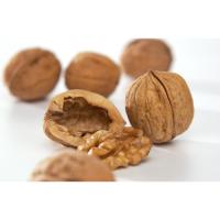 Waln&uuml;sse Franquette