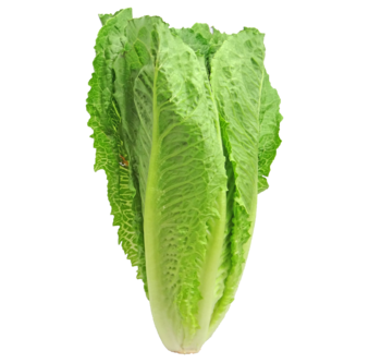 m* Mini R&ouml;mersalat