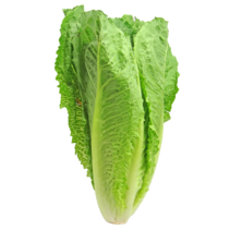 m* Mini R&ouml;mersalat