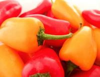 Mini Paprika s&uuml;ss