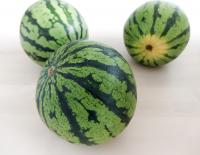 Wassermelone mini