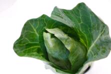Spitzkohl St&uuml;ck