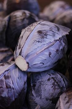 m* Rotkohl