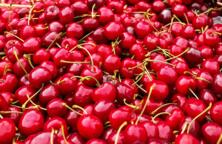 m* S&uuml;&szlig;kirschen 500g