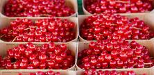 m* Johannisbeeren rot 250g