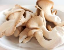 Austernpilze 200g
