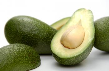 Avocado