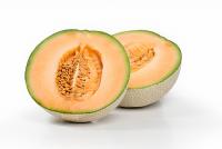 Honigmelone